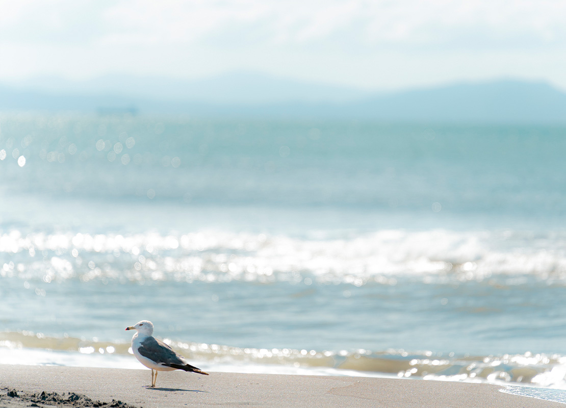 メインビジュアル