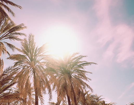 メインビジュアル