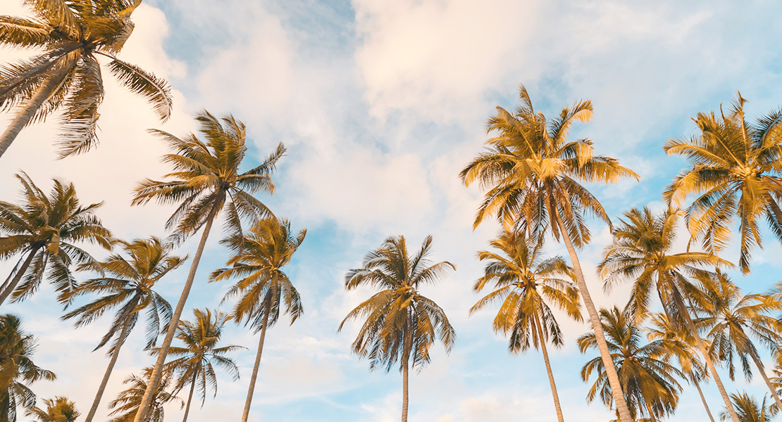 キービジュアル